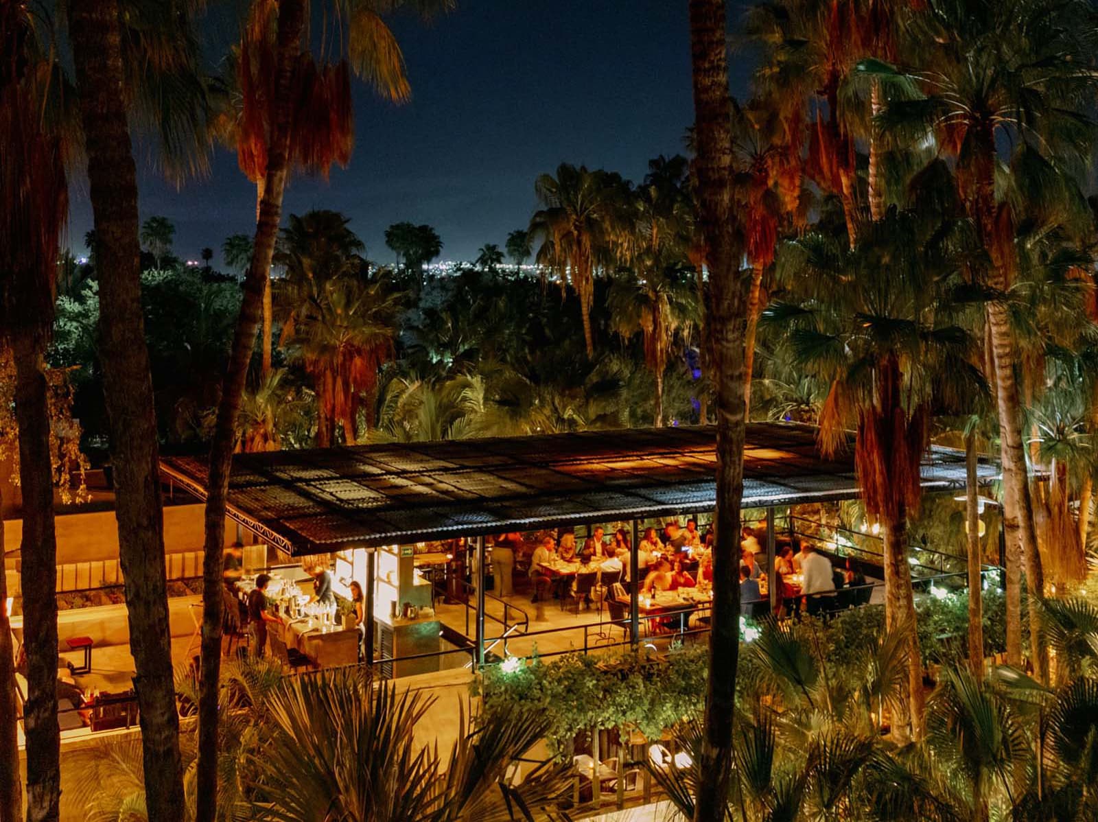 Guests dining under palm trees at the glowing open-air restaurant at Acre Baja eco-resort — a premier sustainable dining destination in San José del Cabo, Los Cabos
