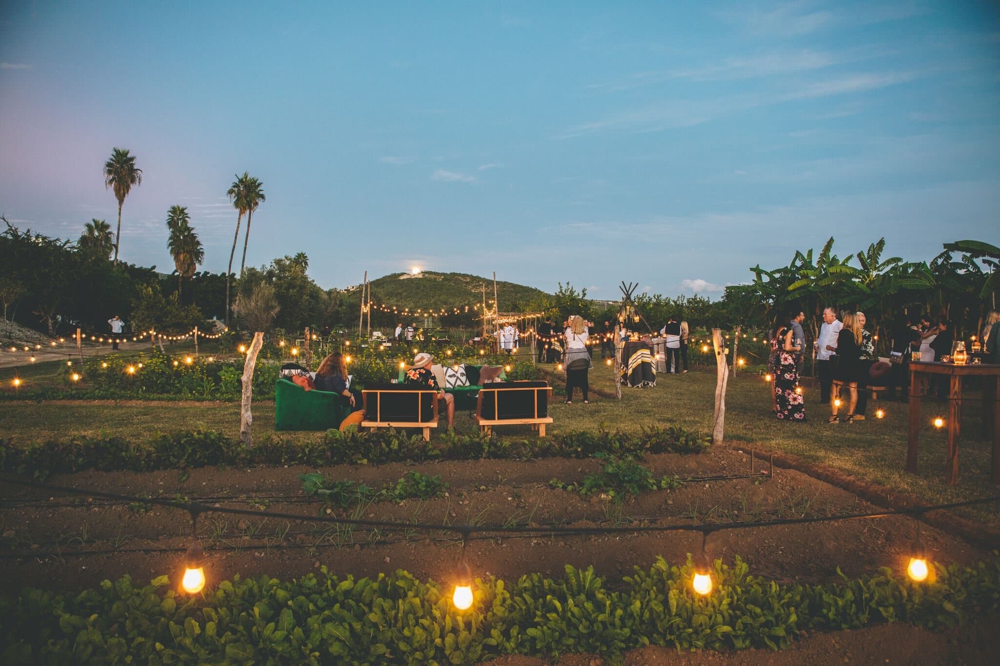 Chef and guests harvesting fresh organic produce for a hands-on cooking class at Los Tamarindos farm and restaurant in the foothills above San José del Cabo, Los Cabos